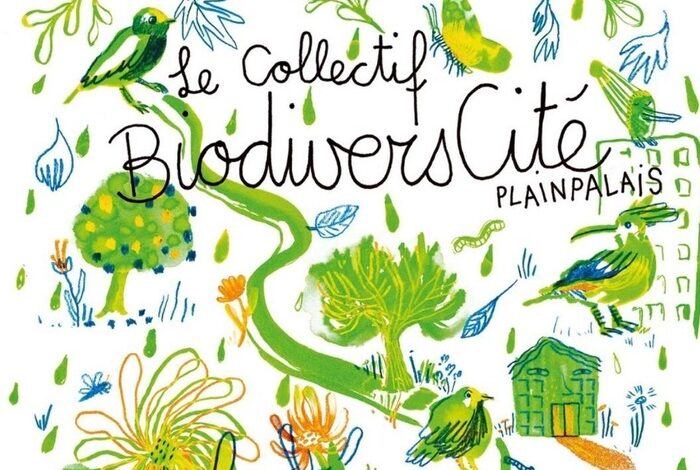 Coolturalia - Bird Walk - Discovering our bird neighbors